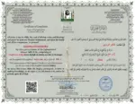 সাফিন চৌধুরীর পরিচয় সাফিন চৌধুরীর পরিচয়